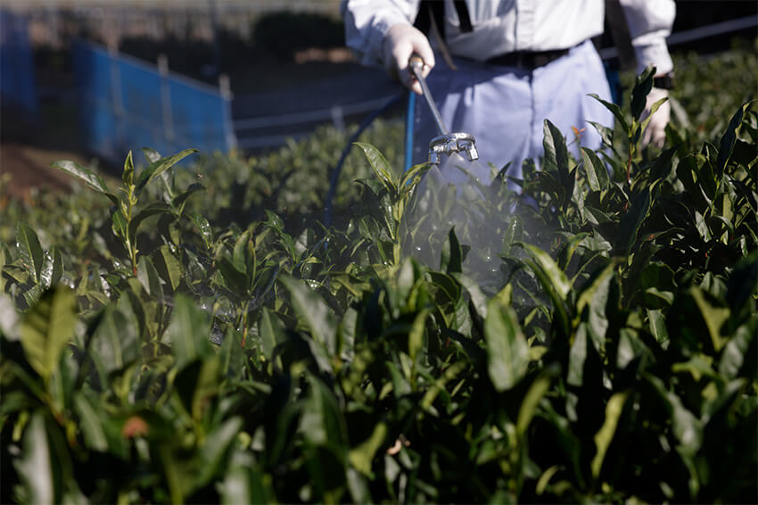 evaluation of agrochemical efficacy