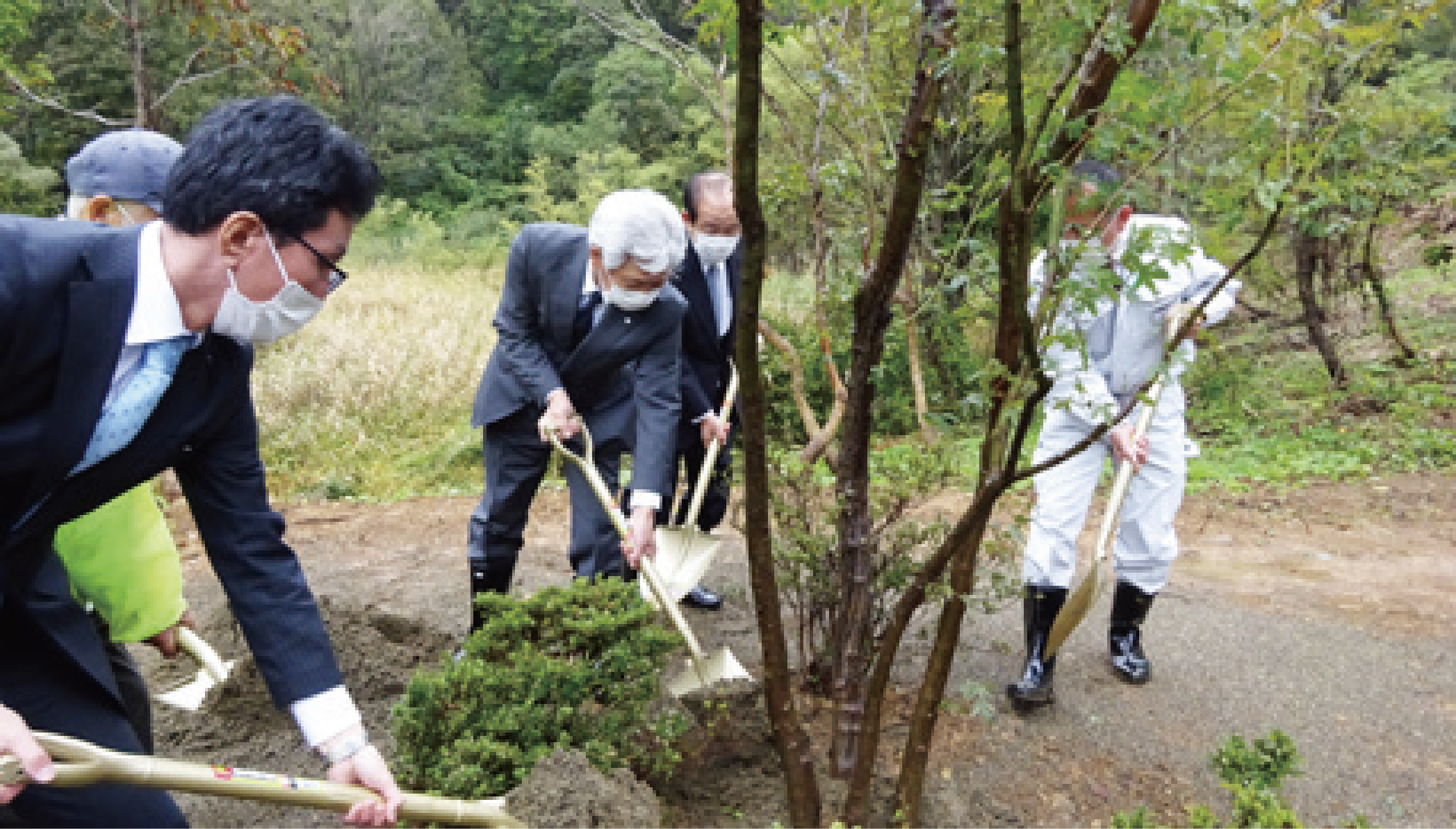 Tree planting ceremony
